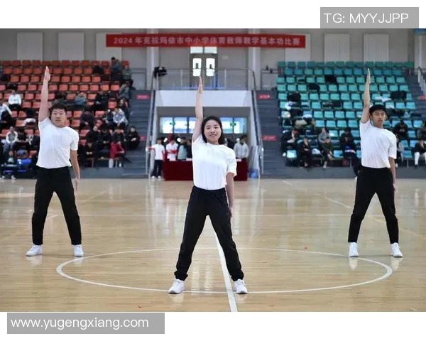 成都排球队个人能力分析与发展策略探讨