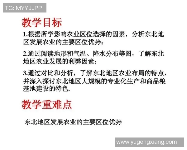 广州与南京乒乓球队赛后技术分析与战术对比探讨 广州与南京乒乓球队赛后技术分析与战术对比探讨