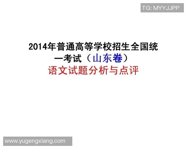 成都排球队在全国锦标赛中的技术表现分析与点评