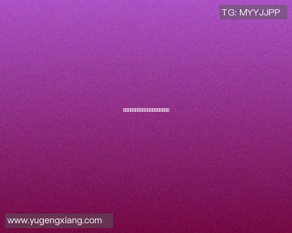 武汉排球队的节奏解析与排球热点动态探讨