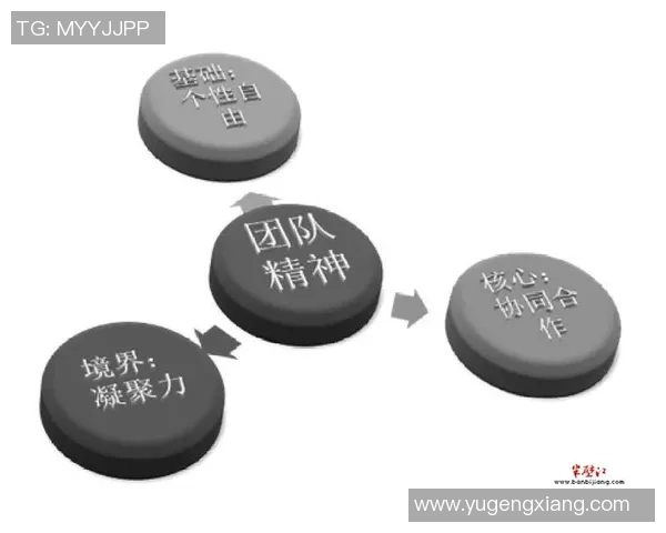 成都篮球队的崛起与挑战聚焦力量与团队精神的完美结合