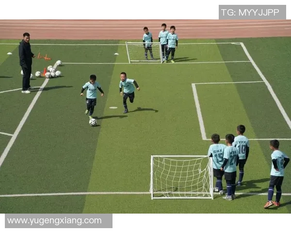 西安足球队近期状态引发热议球迷与专家各执己见分析争论