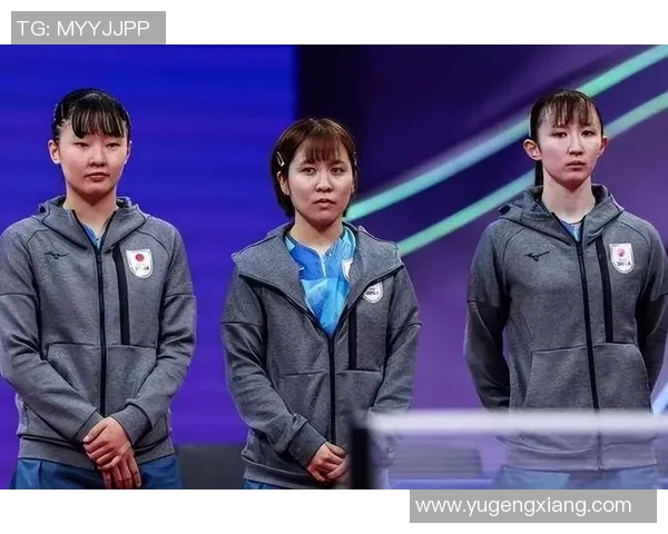 武汉乒乓球队的崛起之路与总决赛背后的奋斗故事